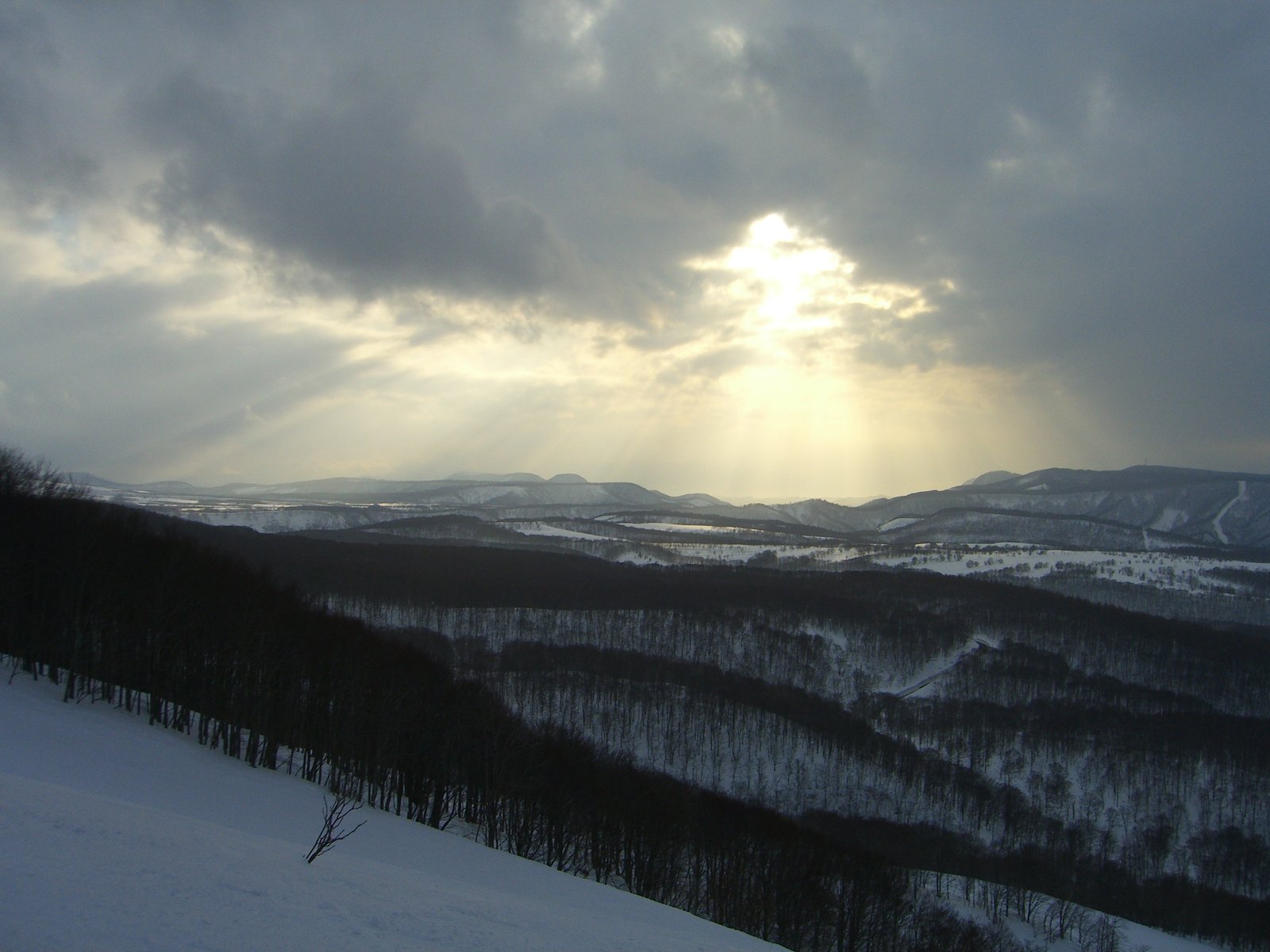Winter sun in Japan